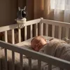 TESLA Bambino BM30-detská WiFi opatrovateľka s monitorom a Náhľad obrázku produktu 11