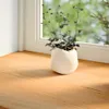 vidaXL Fensterbänke 2 Stk. Hellbraun 140x25x2 cm Massivholz Produktbild-Vorschau 2