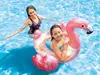 INTEX 56251NP - Plávajúce zviera - Flamingo Glitter Náhľad obrázku produktu 14