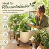 Esschert Design | Pflanzwagen - 29 cm - Rustikal - Mit 3 Produktbild-Vorschau 14