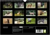 Holländischer Schäferhund (Wandkalender 2026 DIN A4 quer), Produktbild-Vorschau 2