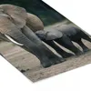 MuchoWow® MuchoWow® Gerahmtes Poster Elefant - Tiere - Produktbild-Vorschau 7