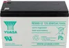 Yuasa REW45-12 12V fil de batterie haute intensité avec Voir les images du produit 5