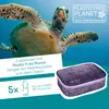 neoxx Schlampermäppchen Dunk Pencil Case Glitterally Produktbild-Vorschau 4