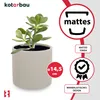 A potted plant in a gray pot with marketing text and icons. Náhled obrázku produktu