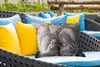 MuchoWow® Outdoor Kissen - Pflanzen - Schwarz und weiß - Produktbild-Vorschau 4