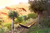 Adventure Hammock XXL nemo AZ-1030420 (gelb/blau) Produktbild-Vorschau 18
