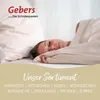 Sanders-Kauffmann Premium Weidegans 3-Kammer Kopfkissen 80 Produktbild-Vorschau 6