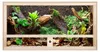 Repiterra® Terrarium Seitenbelüftung Holzterrarium OSB Holz Produktbild-Vorschau 2