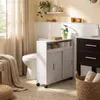 Armoire de salle de bain à roulettes, 2 portes Voir les images du produit 2