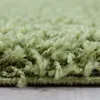 Teppich Wohnzimmer Hochflor Grün 240x340 Rechteck Unicolor Produktbild-Vorschau 4