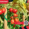 KOTARBAU® 10 szt. Paliki Drewniane do Pomidorów Warzyw 30 Podgląd zdjęcia produktu 2