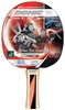 Donic Schildkröt Top Team 600, Pálka na stolní tenis, Náhled obrázku produktu 6