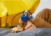 Schleich Dinosaurs      41471 Dino Fallschirmrettung Produktbild-Vorschau 10