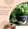 Blumentopf Hängend Blumenampel Außen Hängend Hängetopf Für Produktbild-Vorschau 4