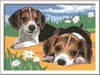 Jack Russell-puppies, Ravensburger, artikelnummer 28329 Productafbeelding-voorbeeld 1
