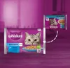 A product image showcasing cat food pouches with a smaller pouch shown in the upper right corner, connected by a dashed arrow. Produktbild-Vorschau
