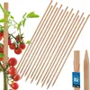 KOTARBAU® 15 Pièces Tuteur Tomate Bois de Hêtre 150 cm Voir les images du produit 1