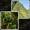 Tarnnetz 2x5 M Woodland Camouflage 10 m² Wasserdicht Für Produktbild-Vorschau 3
