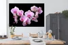 MuchoWow® Poster Orchidee - Blumen - Rosa - Flora 180x120 Produktbild-Vorschau 3