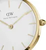 Daniel Wellington Petite Evergold Anteprima dell’immagine prodotto 12