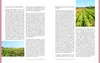 Emmi kocht einfach: 85 Rezepte für das ganze Jahr Voir les images du produit 5