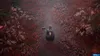 A person sits on a path surrounded by red and pink flowers. Produktbild-Vorschau