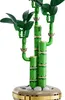 LEGO® Botanicals 10344 Glücks-Bambus Produktbild-Vorschau 48