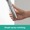 Hansgrohe Focus Mitigeur d'évier chromé avec douchette Voir les images du produit 23