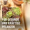 A close-up view of a planter filled with succulents and other small plants, placed on a wooden surface. Text overlays the bottom portion of the image. Náhľad obrázku produktu