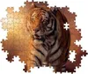 Clementoni 31806 - 1500 T High Quality Collection - Tiger Produktbild-Vorschau 5