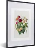 MuchoWow® Gerahmtes Poster Himbeeren - Obst - Lebensmittel Produktbild-Vorschau 1