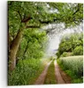 Bild auf Leinwand - Leinwandbild - Pfad Natur Wald Grün - Produktbild-Vorschau 1