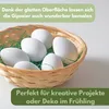 6x Legeeier Kunsteier Nesteier Gipseier Bruteier Fasanen Produktbild-Vorschau 6