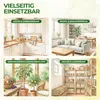 Fenster Fruchtfliegenfalle mit Spezial-Lockstoff – 9x Produktbild-Vorschau 4