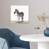 MuchoWow® Poster Zebra - Mädchen - Tiere - Kinder - Jungen Produktbild-Vorschau 5