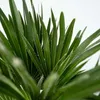 A close-up view of the leaves of a palm plant. Podgląd zdjęcia produktu