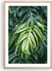 Gerahmtes Poster - Rahmen in heller Eiche - Blume Natur - Produktbild-Vorschau 1