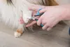 Trixie ciseaux pour visage et pattes 9 cm Voir les images du produit 22