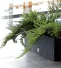 Prosperplast Blumenkasten RATO CASE Weiß 60 cm Produktbild-Vorschau 24