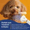 Haustier Föhn Bürste 3-in-1, Hunde & Katzen, Temperatur Produktbild-Vorschau 6