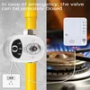 eWeLink WiFi Smart Ventil DN20, Automatisches Kugelventil Produktbild-Vorschau 6