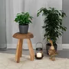 A small plant on a wooden stool next to a larger plant and a decorative duck figurine. Produktbild-Vorschau