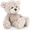 A studio shot of a teddy bear. Produktbild-Vorschau