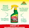 Neudorff Spruzit AF OrchideenSchädlingsFrei 250 ml - Produktbild-Vorschau 2