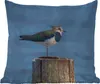 MuchoWow® Outdoor Kissen - Vogel - Tiere - Pfahl - Blau - Produktbild-Vorschau 1