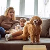 A family is relaxing on a couch with their dog. Náhled obrázku produktu
