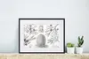 MuchoWow® Gerahmtes Poster Koniferen - Ernst Haeckel - Produktbild-Vorschau 6