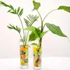 Hydrogel Soil for Flowers Gélové guličky 25 000 ks Náhľad obrázku produktu 12