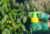 Syllit 65 Wp 45G, Sumin-Fungizid, Pfirsichkräuselung, Produktbild-Vorschau 11